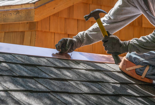 Best Roof Maintenance and Cleaning  in Cameron, TX